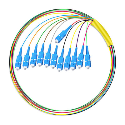 खरीदें HXCOWO 12 Core SC Bundle Tail Single Mode Telecom Grade Head And Tail Fiber Optic Pigtail ऑनलाइन निर्माण